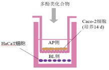 1646107041596402.png 1646107041596402.png